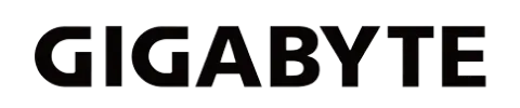 Gigabyte